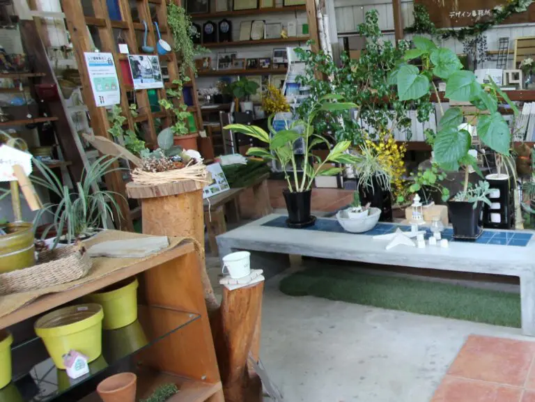 風の森ガーデン - 風の森｜自然と癒しの森・カフェ雑貨